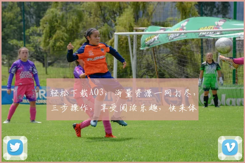 轻松下载AO3，海量资源一网打尽，三步操作，享受阅读乐趣，快来体验吧