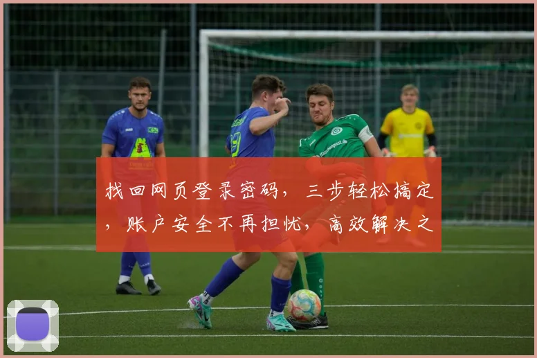 找回网页登录密码，三步轻松搞定，账户安全不再担忧，高效解决之道，快来看看吧