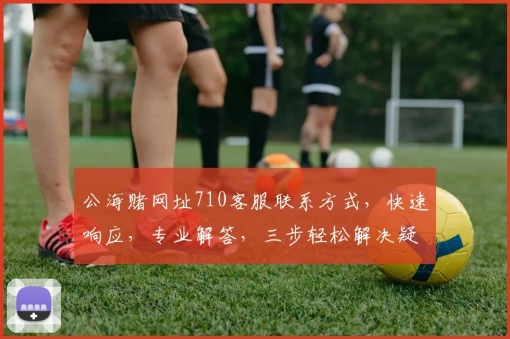 公海赌网址710客服联系方式，快速响应，专业解答，三步轻松解决疑问，敬请咨询