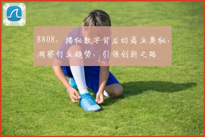 8808，揭秘数字背后的商业奥秘，洞察行业趋势，引领创新之路
