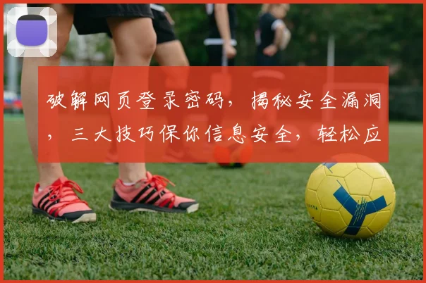 破解网页登录密码，揭秘安全漏洞，三大技巧保你信息安全，轻松应对