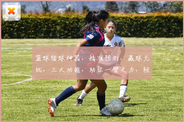 篮球赌球神器，精准预测，赢球无忧，三大功能，助你一臂之力，轻松征服篮球赛场