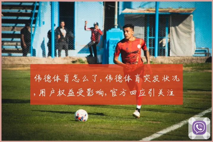 伟德体育怎么了,伟德体育突发状况,用户权益受影响,官方回应引关注