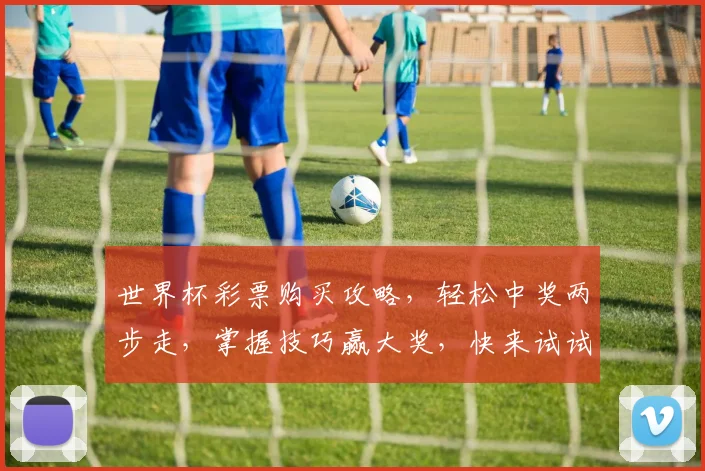 世界杯彩票购买攻略，轻松中奖两步走，掌握技巧赢大奖，快来试试吧